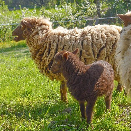 Agriturismo Vezzano Chiusi della Verna Exteriér fotografie