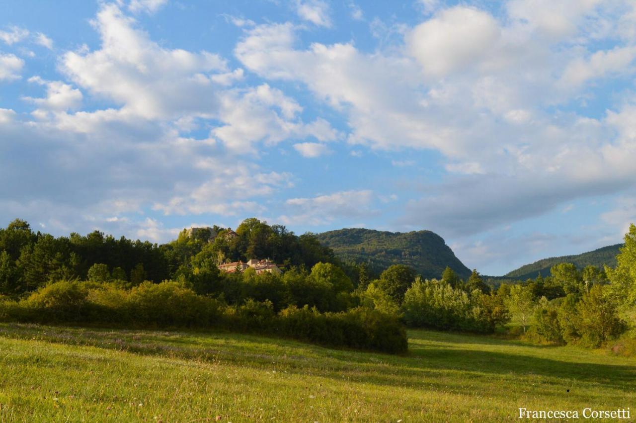 Agriturismo Vezzano Chiusi della Verna Exteriér fotografie