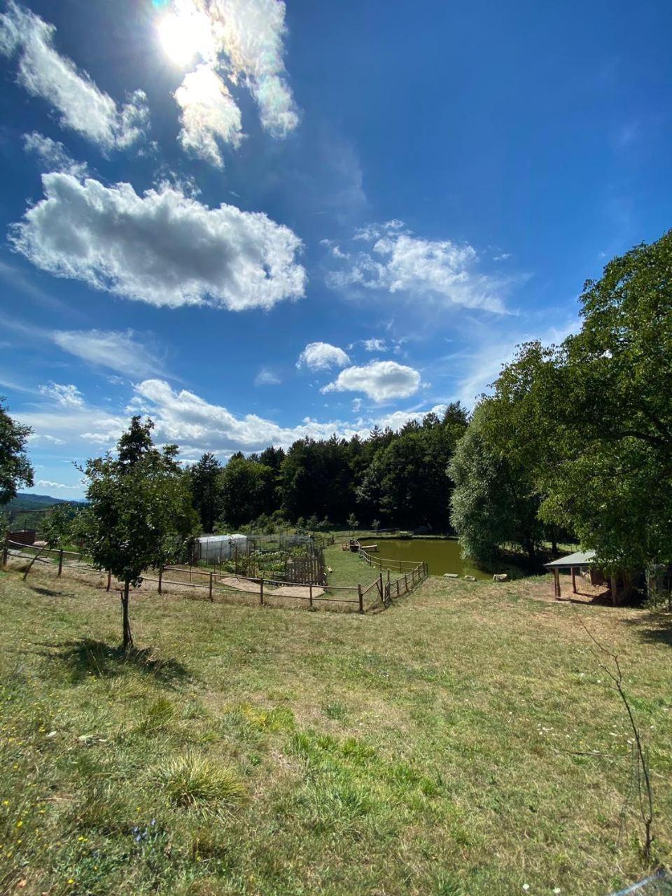 Agriturismo Vezzano Chiusi della Verna Exteriér fotografie