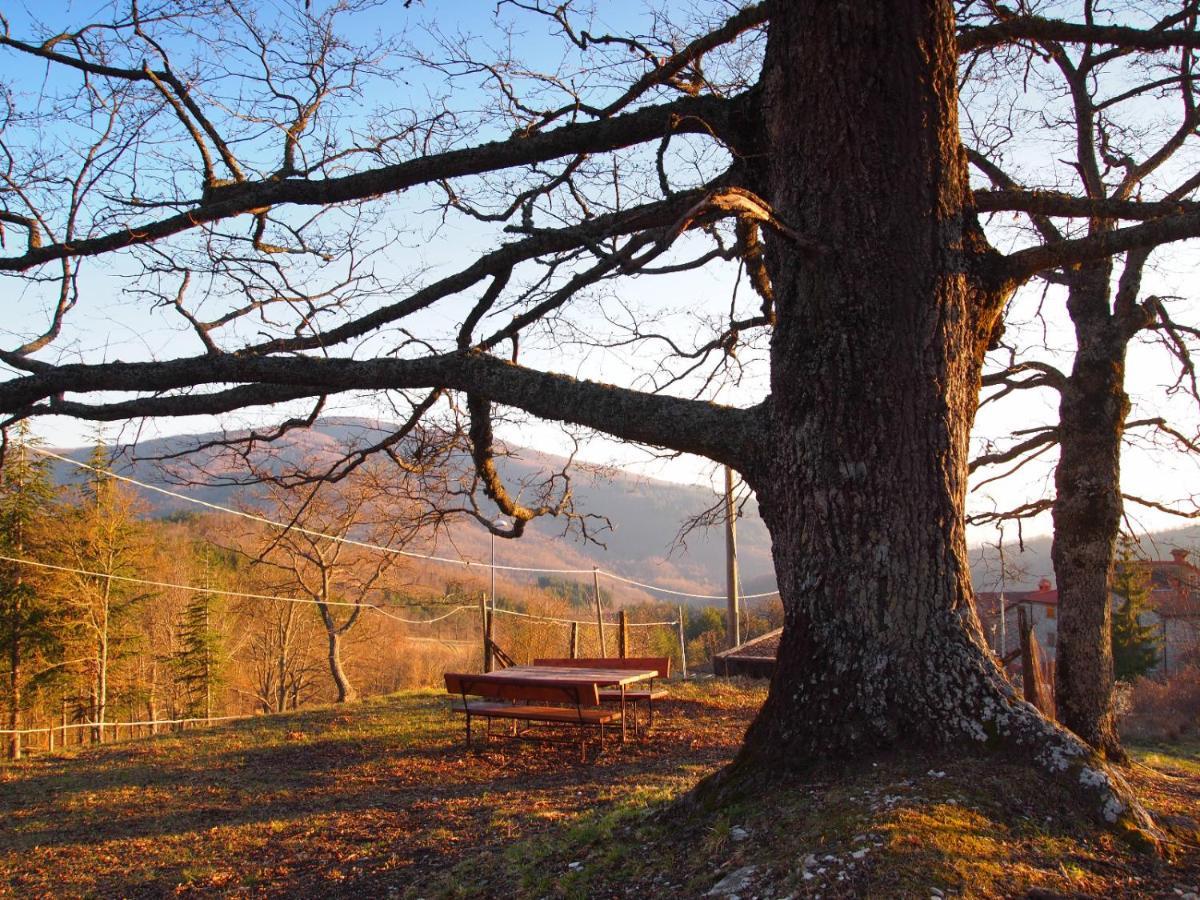 Agriturismo Vezzano Chiusi della Verna Exteriér fotografie