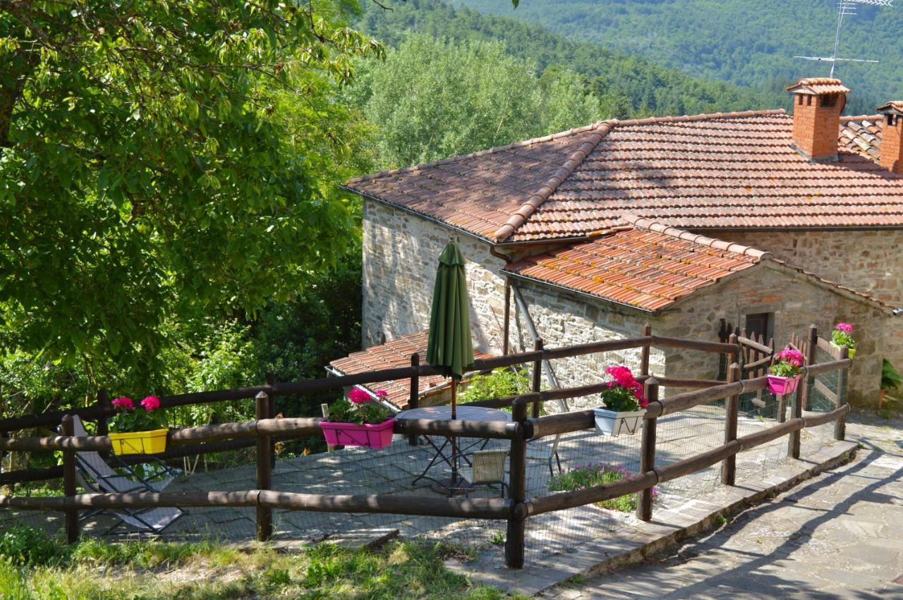 Agriturismo Vezzano Chiusi della Verna Exteriér fotografie
