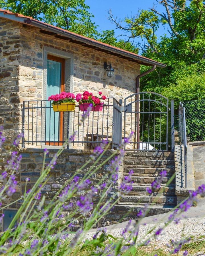 Agriturismo Vezzano Chiusi della Verna Exteriér fotografie