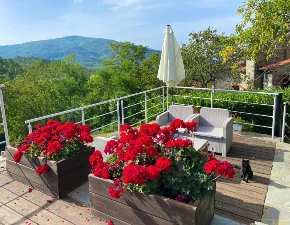 Agriturismo Vezzano Chiusi della Verna Exteriér fotografie