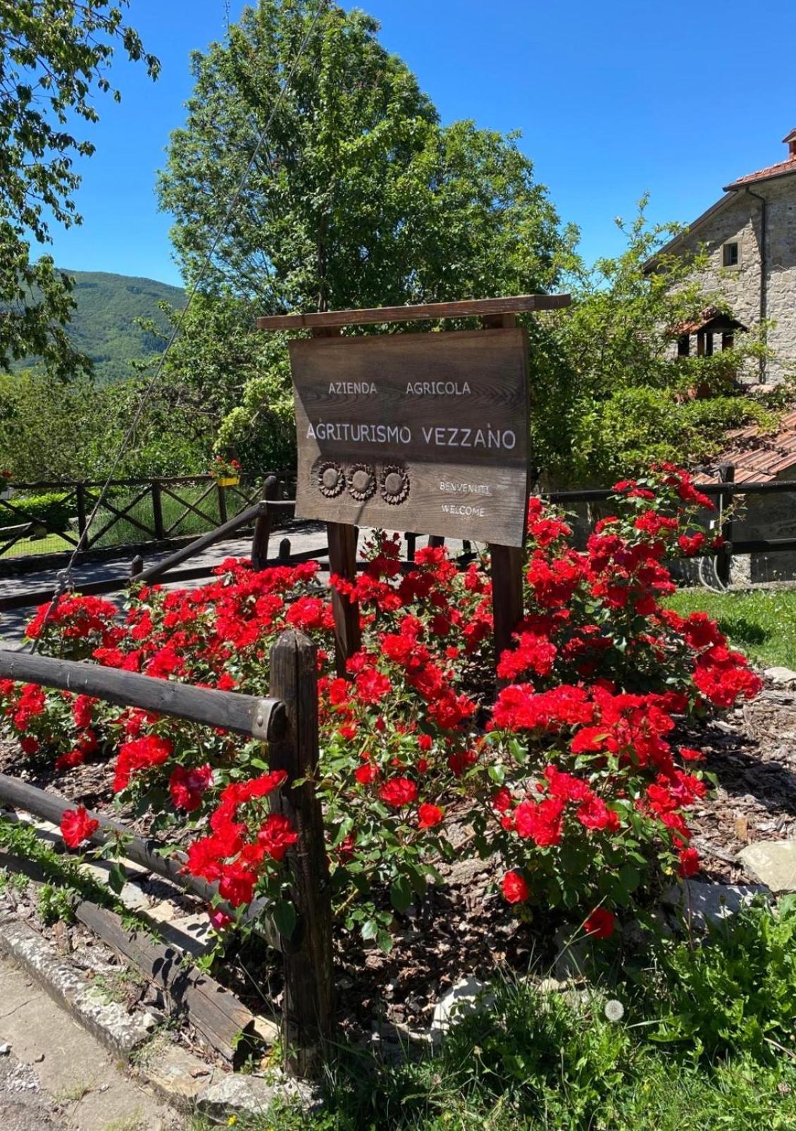 Agriturismo Vezzano Chiusi della Verna Exteriér fotografie